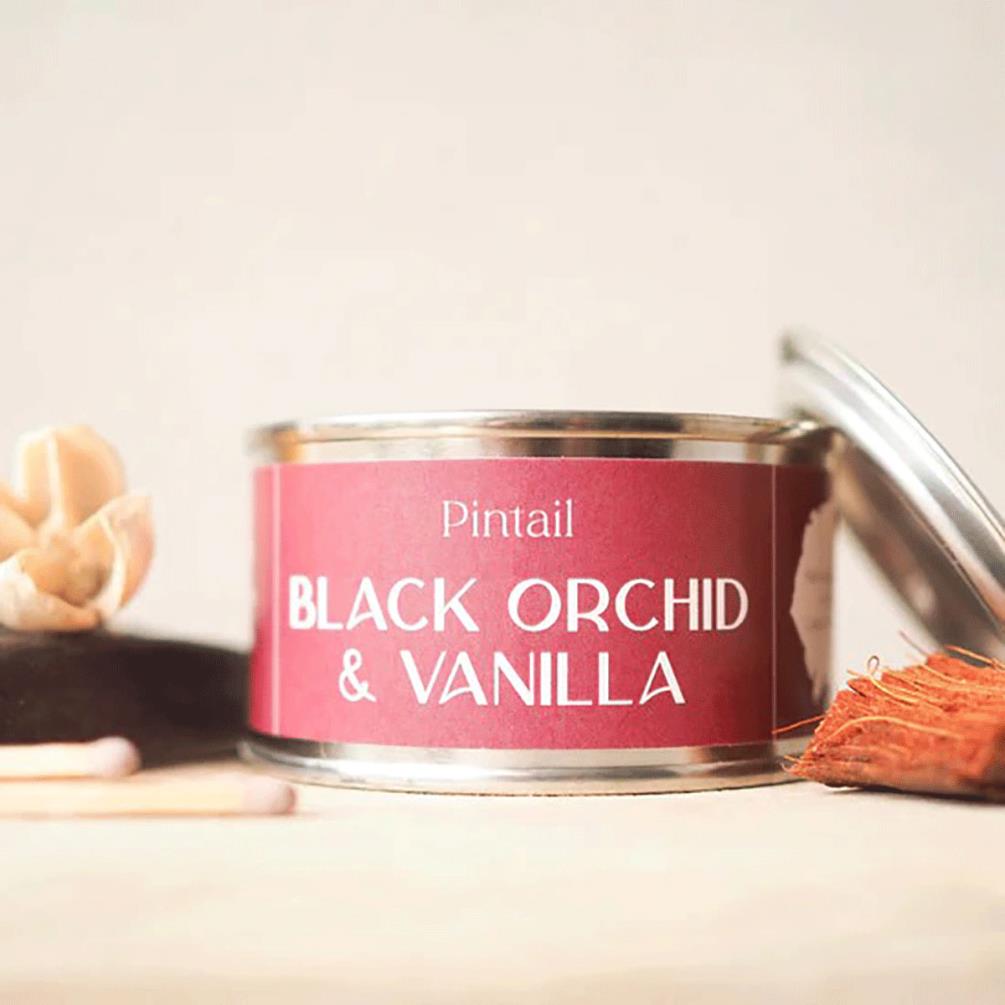 Pintail Candles Black Orchid & Vanilla Paint Pot Candle Extra Image 1